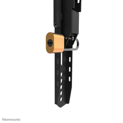 Supporto TV Neomounts WL30-750BL14 32" 75" 100 kg