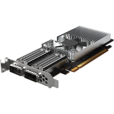 Scheda di Rete Qnap QXG-100G2SF-E810