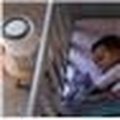 Purificatore dell'Aria Philips AC0920/10 Bianco