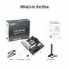Motherboard Asus AMD AM5 AMD