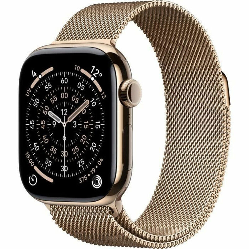 Smartwatch Apple Titanium