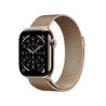 Smartwatch Apple Titanium