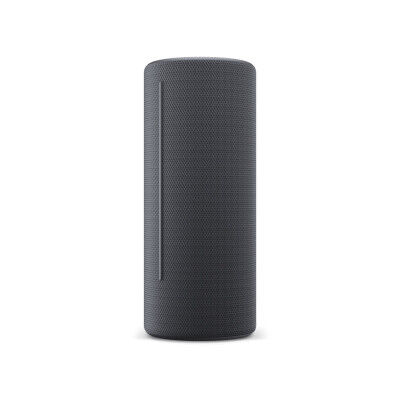 Bluetooth Speakers Loewe Grey