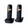 Telefono Panasonic KX-TG1612