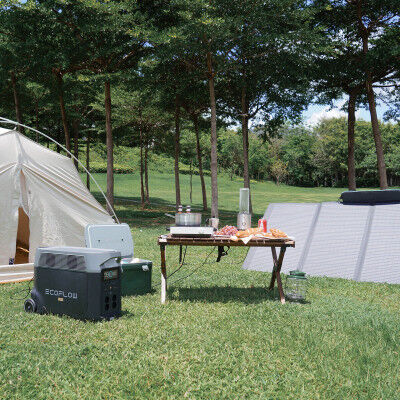 Portable Solar Generator Ecoflow DELTA Pro