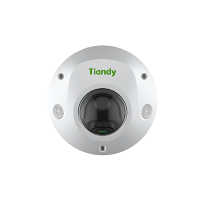 Tiandy Telecamera IP Dome da 5MP con IR 30m, Starlight, SMD+Perimetro+Face mod. TC-C35PS Spec:I3/E/Y/M/H/2.8mm/V4.2