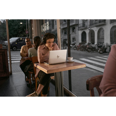 HP Notebook EliteBook 660 16 inch G11 512 GB SSD Wi-Fi 6E (802.11ax) Windows 11 Pro 3 years Warranty Silver