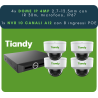 Tiandy Kit 4xDome IP, 4MP, IR 30m, Perimetro + 1x NVR 10Ch, SMD+Perimetro+Face, 1 HDD MAX 10TB, Alarm 4 IN / 1 Relè Out